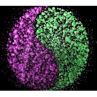 Deva Resins Limited logo - Similar company to Makedo