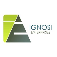 IGNOSI ENTERPRISES logo - Similar company to Pukka Codes It Solutions Llp