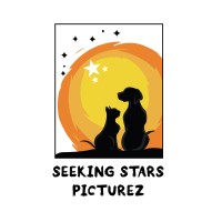 Seeking Stars Picturez logo - Similar company to Awa Media