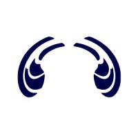 Shape of Sound Ltd logo - Similar company to Frontier Smart Technologies