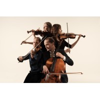 Dudok Quartet Amsterdam logo - Similar company to Animato Kwartet / Animato Quartet