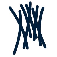 The Island Foundation logo - Similar company to Q-Tc Nederland B.V.