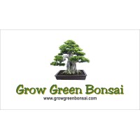 Grow Green Bonsai