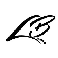 Liang Bros. Digital Consulting