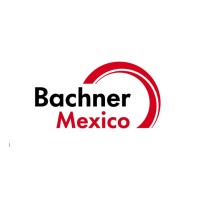 Bachner Electro Mexico logo - Similar company to Network Controls & Electric Llc
