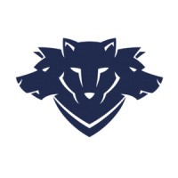 Cerberus Security S.A