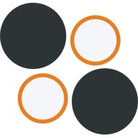 LMS-IT Solutions logo - Similar company to Brik