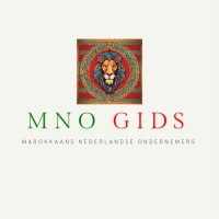MNO GIDS logo - Similar company to Pixelsky