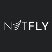 Netfly logo - Similar company to It & Digital Way