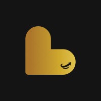 LBI Investimentos logo - Similar company to Xgain Group