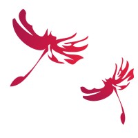 Deutsche Digitale Bibliothek logo - Similar company to Digis Berlin - Forschungs- Und Kompetenzzentrum Digitalisierung