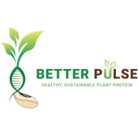 Better Pulse logo - Similar company to Eco Circular Solutions Provider Ltd
