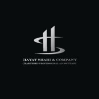 Hayat Shahi & Company, Cpa