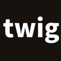 Twig logo - Similar company to Ainisa