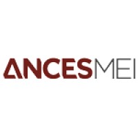 Ances MEI logo - Similar company to Alexcon Asociados
