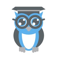 Wise Training Owl