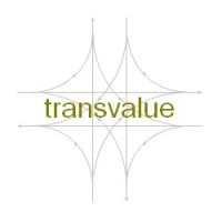 Transvalue Consultants logo - Similar company to Transvalue Analytics