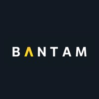 Bantam Communications logo - Similar company to Hive Creative Group