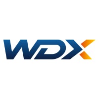 WDX Group logo - Similar company to Anwis