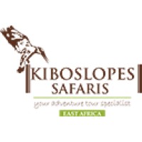Kibo Slopes Safaris Ltd logo - Similar company to Cyber Context
