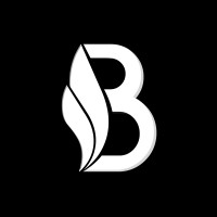 Bevels logo - Similar company to Rise11 Technologies