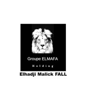 Groupe Elmafa Holding