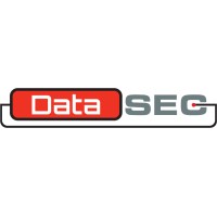 DataSEC logo - Similar company to Shavit Security