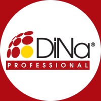 Dina Professional srl logo - Similar company to Net Service Solution Srl