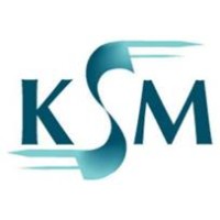 KSM AND PARTNERS LIMITED logo - Similar company to Cognitive Innovation