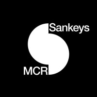 Sankeys