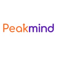 PeakMind.in logo - Similar company to Peak Mind