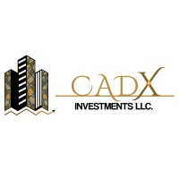 CADX Investments LLC logo - Similar company to Viis Global