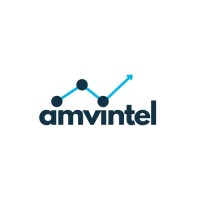 amvintel logo - Similar company to Zibew