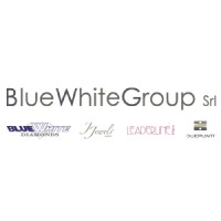 Blue White Group S.r.l. logo - Similar company to Brightlly