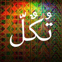 Tokul logo - Similar company to Sudagoarth Co. Ltd سوداغورث المحدودة