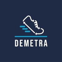 Demetra logo - Similar company to Perillo S.P.A.