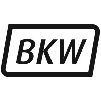BKW Instruments logo - Similar company to Park Engineering Ltd