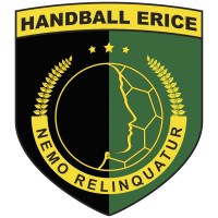 Handball Erice logo - Similar company to Tms - Ringsted