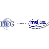 Egyptian International Consulting Group ( EICG ) logo - Similar company to Eicg