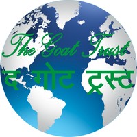 TGT Group of Social Ventures logo - Similar company to 4 She