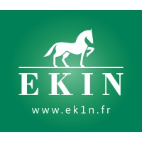 EKIN France logo - Similar company to Wiirenga