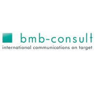 bmb-consult logo - Similar company to Profi Werkstatt