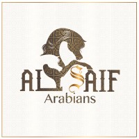 مربط السيف | ALSAIF ARABIANS logo - Similar company to Alsayedstud | مربط السيد