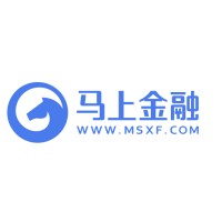 MSFinance logo - Similar company to Tongdun Technology