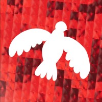 VyshyvAI logo - Similar company to Metatable.Ai  🇺🇦