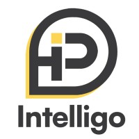 Intelligo Partners logo - Similar company to Nuula (Acquired By Nav Technologies, Inc.)