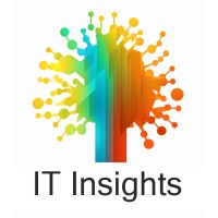 IT Insights logo - Similar company to Styline Digital
