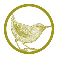 Otto Mazur Studio logo - Similar company to Myra