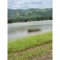 pet hotel logo - Similar company to Ansika Polymers