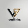 Vedlinks Pvt Ltd logo - Similar company to Munchingai
